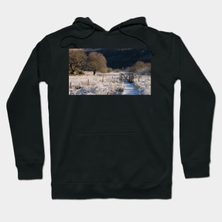 Winter at Park Neb Hoodie